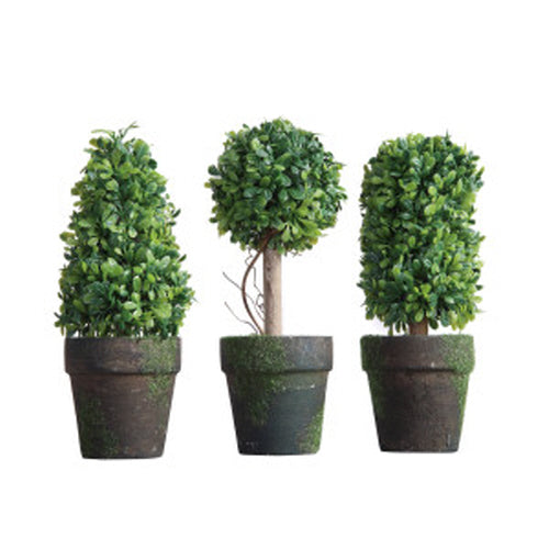 Small Topiary Tree Assorted