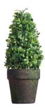 Small Topiary Tree Assorted