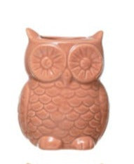 Owl Vase w/Magnet- Assorted Colours